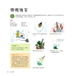 【人類智庫】可愛水草小盆栽–打造療癒小森林(園藝DIY)