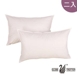 【遊遍天下】MIT臺灣製高品質飯店級 舒眠羽絨枕(二入)