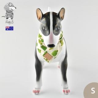 【Pablo & Co】寵物領巾 毛小孩 領巾 方巾 綠洲仙人掌 S