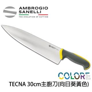 【SANELLI 山裡尼】TECNA系列 主廚刀 30CM 七色選擇(158年歷史、義大利工藝美學文化必備)