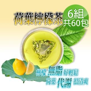 【蔘大王】台灣荷葉檸檬茶包X6組（6gX10入/組）長效期版(解油雙寶 回甘很到位 代謝很輕鬆 無咖啡因無茶鹼)