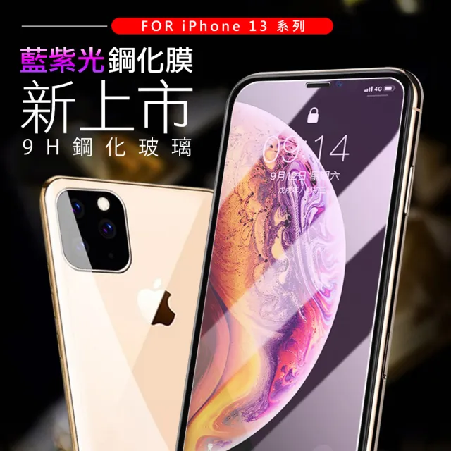 iPhone 13 Pro Max 6.7吋 非滿版藍紫光9H玻璃鋼化膜手機保護貼(13PROMAX鋼化膜 13PROMAX保護貼)