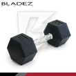 【BLADEZ】六角包膠啞鈴-6KG(二入組)