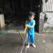 【Splash About 潑寶】兒童 連身泳裝 防寒 抗UV-國王變色龍-2-6歲(兒童泳裝)