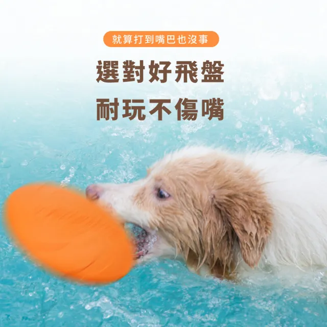 寵物耐咬飛盤(潔牙 訓練 紓壓 狗飛盤 軟式飛盤  寵物運動 寵物狗玩具)