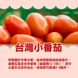 【甜露露】台灣小番茄6盒入x1箱(每盒1台斤±10%)