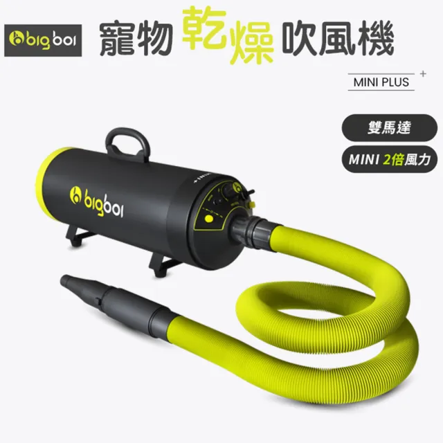 【bigboi】寵物乾燥吹風機 MINI PLUS+(吹水機 寵物吹風機 寵物美容 寵物用品 寵物吹水機)