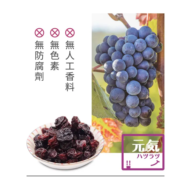 【台灣美食全記錄】元氣葡萄乾360g(無添加的優質葡萄乾)