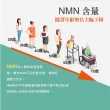 【生福生物科技】EX+逆齡因子NMN活力膠囊3入組 共90粒 30粒/盒(青春、美麗、保養)