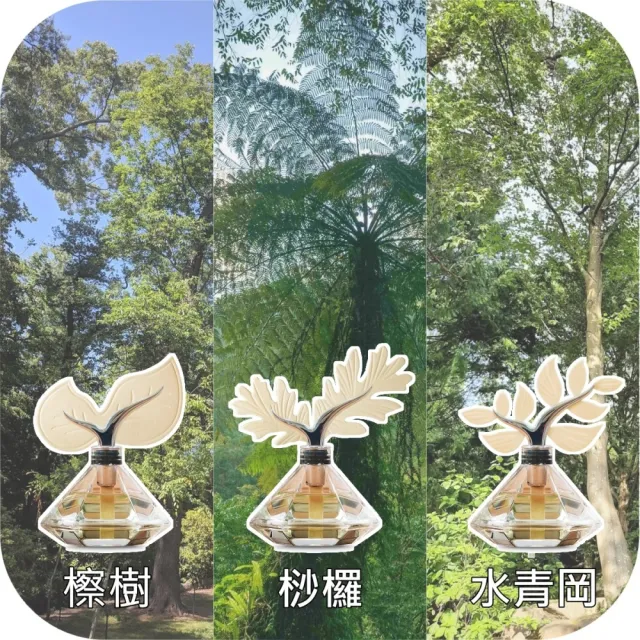 【Gdesign】Aroma-葉紙 森林擴香組 贈大地精油100ml(薰香、 精油瓶 、擴香瓶、、)