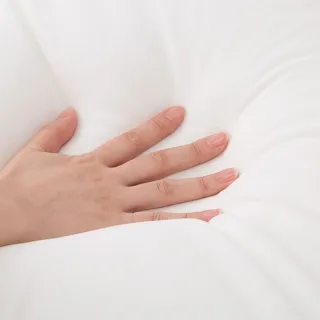 【NITORI 宜得利家居】標準型懶骨頭沙發本體 枕心_布套另售 N-STRETCH R(懶骨頭)