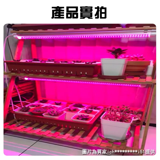 【JIUNPEY 君沛】4入組 25W T8紅藍混光分體式植物燈管(植物生長燈)