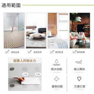 【收納王妃】LINE FRIENDS正版授權 熊大兔兔莎莉 日常 硬式珪藻土 吸水地墊(尺寸:60x39x0.9cm)