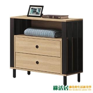 【綠活居】約拿書 時尚2.7尺二抽斗櫃/收納櫃(二色可選)