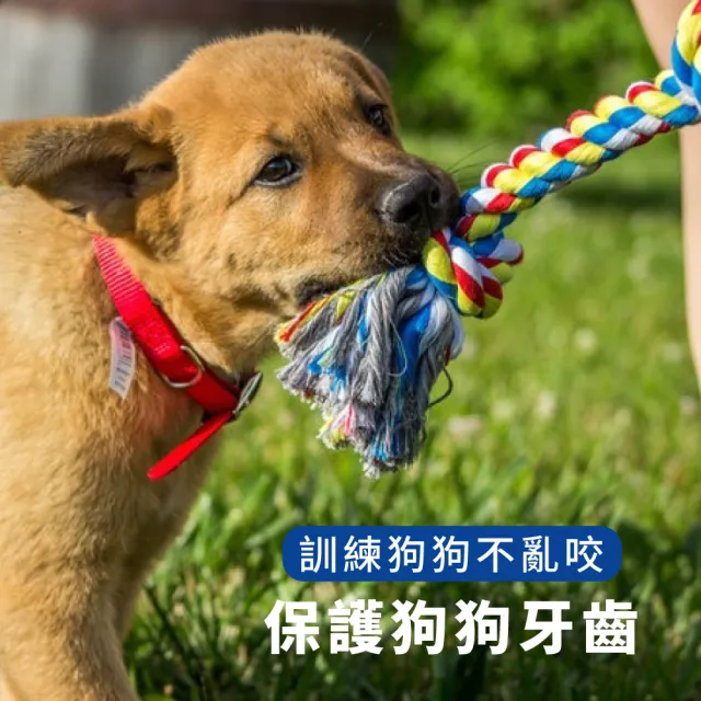 骨頭造型寵物編織磨牙棒-2件組(耐啃咬 磨牙 牙齒清潔 潔牙骨 寵物球 狗玩具 寵物用品)