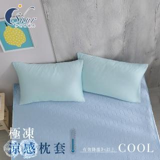 【ISHUR 伊舒爾】極凍涼感枕套1入 臺灣製造(兩色任選/枕頭套)