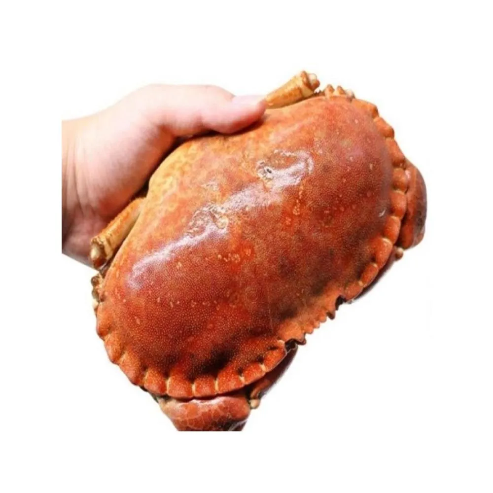 【三頓飯】英國頂級霸王蟹(2隻_400-600g/隻)