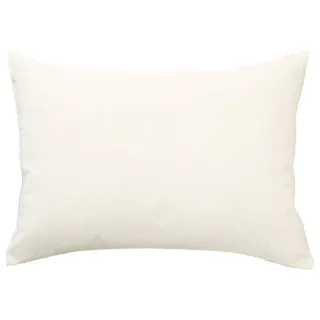 【NITORI 宜得利家居】羽毛枕 VEER2 HI(羽毛枕 枕頭 枕芯)