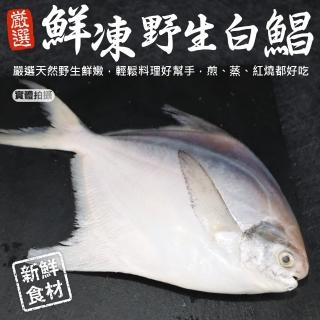 【三頓飯】鮮嫩野生白鯧魚(2尾組 220-280g/尾)