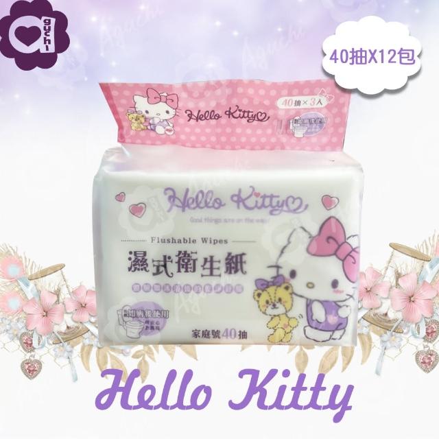 【SANRIO 三麗鷗】Hello Kitty 凱蒂貓 溼式衛生紙 40 抽 X  12 包 家庭號組合包 可安心丟馬桶