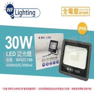 【DanceLight 舞光】LED 30W 6500K 白光 140度 IP66 全電壓 宙斯 泛光燈 投光燈 WF431199