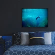【菠蘿選畫所】海洋世界－海龜-42x60cm(海龜/客廳佈置/家居佈置/臥室背景/海洋掛畫/複製畫)