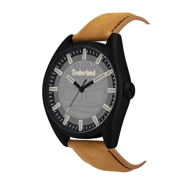 【Timberland】手錶 男錶 ASHFIELD系列 街頭潮流腕錶 皮革錶帶-深灰/棕46mm(TBL.16005JYB/13)