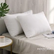 【HOYACASA】羽絲絨纖維枕(二入)