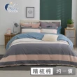 【ISHUR 伊舒爾】台灣製造 100%精梳棉兩用被床包組(單/雙/加/特大 多款任選 純棉 床包加高 贈防水洗衣籃)