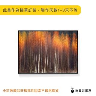 【菠蘿選畫所】抽象畫 ‧ 暮秋-30x40cm(客廳擺飾/沙發背景掛畫/海報/辦公室/複製畫/抽象/設計/質感)