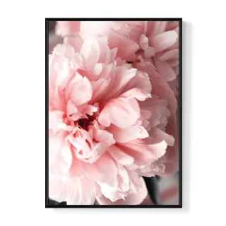 【菠蘿選畫所】花開富貴 • 牡丹II - 30x40cm(角落小品/玄關裝飾/過年裝飾/花卉掛畫)