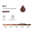 【SATUR 薩圖爾】曼巴中深焙濾掛咖啡(10gx10入/盒;100%阿拉比卡豆)
