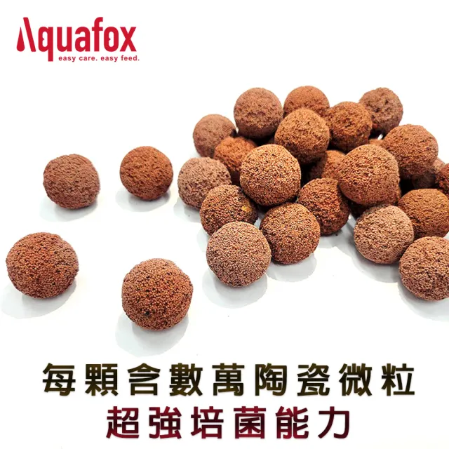 【Aquafox】Powerball陶瓷魔球  生化型1L-22mm-L(超越石英球、生化型)