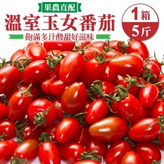 【WANG 蔬果】臺灣嚴選溫室玉女番茄5斤x1箱(5斤/箱)