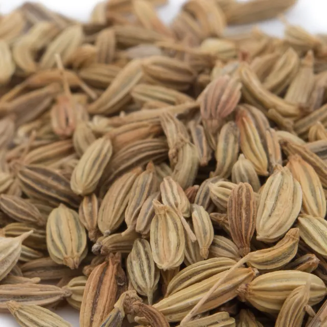 【草本24】Herb24 茴香 精油 10ml(100% 單方純質精油)