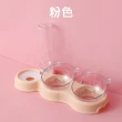 【HaRu日春生活】斜面護頸寵物碗(貓碗 狗碗 自動蓄水碗 雙口碗 食物碗)