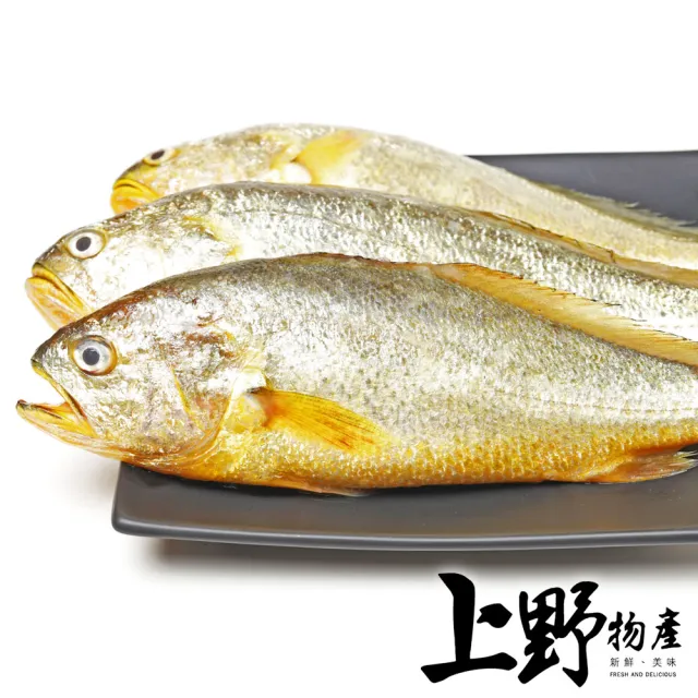 【上野物產】16隻 野生白口魚(135g±10%/隻 海鮮)