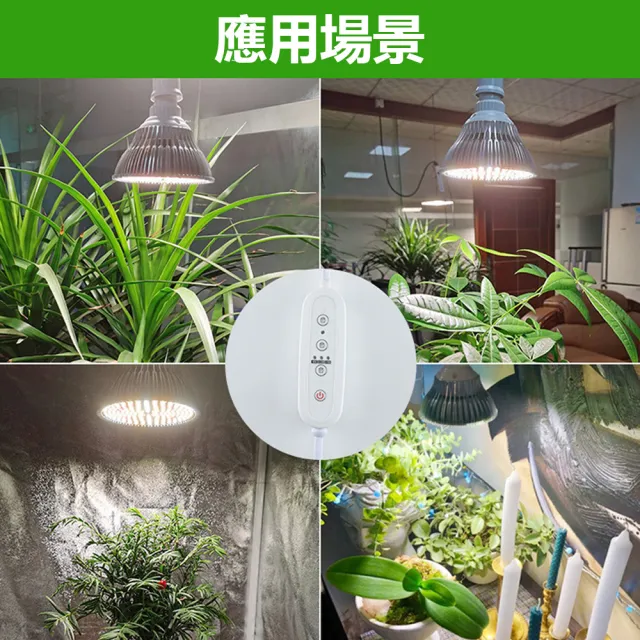 【明瑞LED】可定時全光譜180W LED植物生長燈