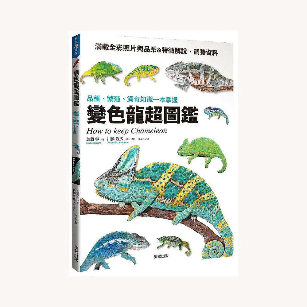 變色龍超圖鑑：品種、繁殖、飼育知識一本掌握