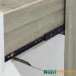 【綠活居】提格維  時尚4尺六抽斗櫃/收納櫃