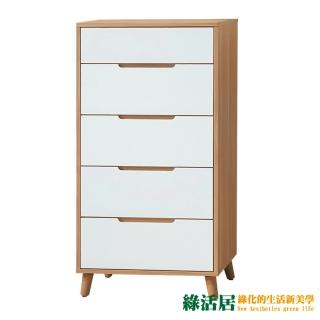 【綠活居】法克 雙色2尺五抽斗櫃/收納櫃(二色可選)