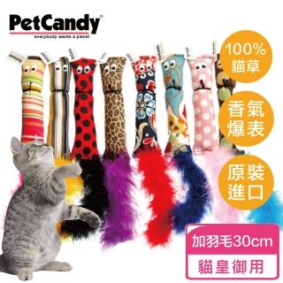 【神喵嚐百草】加拿大特濃安心貓草玩具 松鼠(無農藥種植貓草、貓薄荷、美國手工縫製)