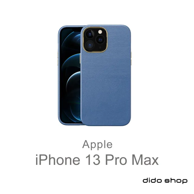 【Didoshop】iPhone 13 Pro Max 6.7吋 電鍍金邊磨砂手機殼(SX094)