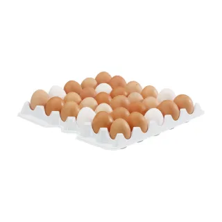 【Vega】30格雞蛋收納盒(冰箱收納盒 蔬果收納盒 分層分格)