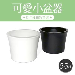 【生活King】如意花盆-5.5吋(3入組)