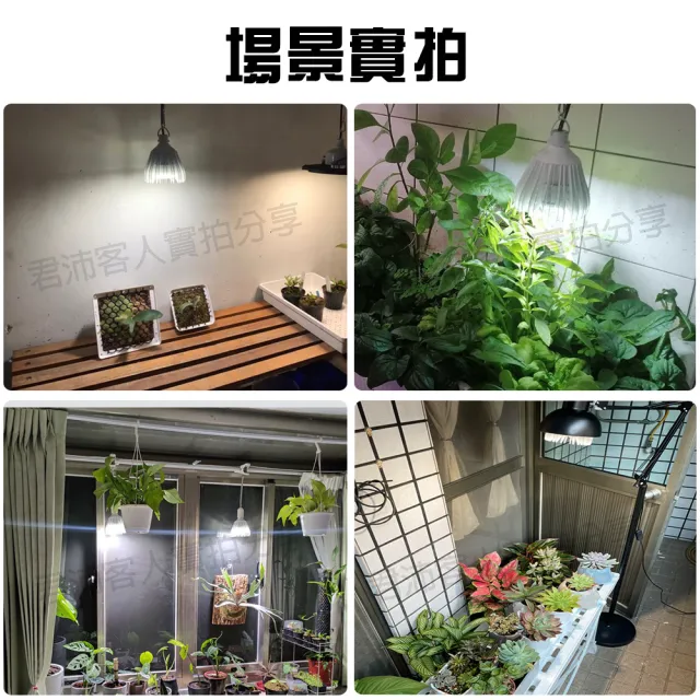 【JIUNPEY 君沛】40W 加強型光譜E27植物燈泡(植物生長燈)