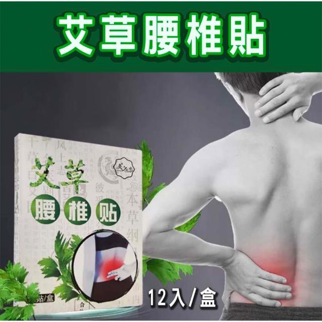 【Nick Shop】免運/艾草腰椎貼2盒(12片/盒 艾草貼布/腰椎痠痛/肌肉痠痛緩解)