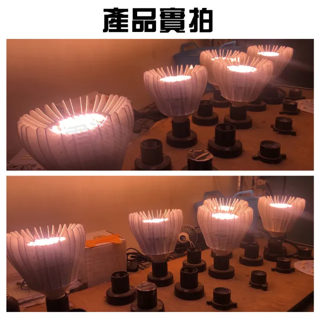 【君沛】君沛 植物燈系列 夾式 40瓦 E27 植物燈泡 加強型全光譜 全電壓(植物燈)