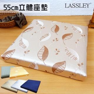 【LASSLEY】二入組-55cm立體座墊(客廳 坐墊 厚墊 椅墊 大方墊 和室 沙發墊 臺灣製造)