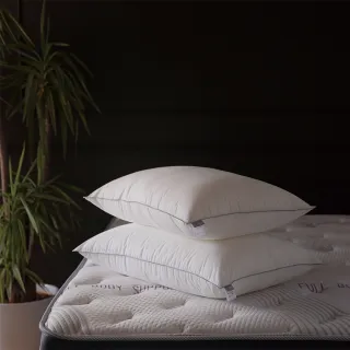 【HOLA】棉花糖防螨水洗對枕